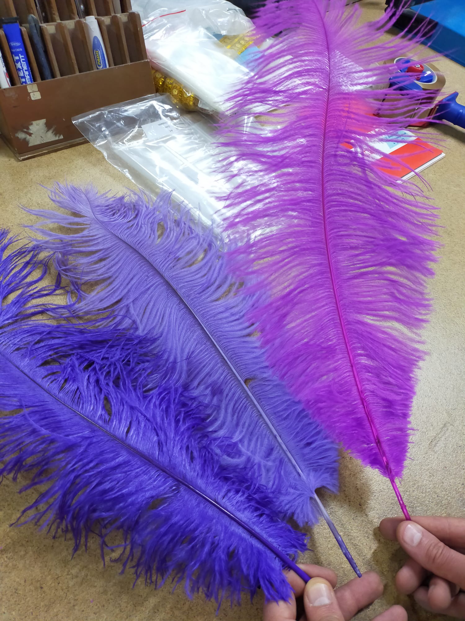 Tipos de plumas naturales
